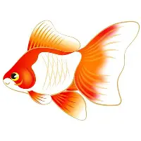 体育综合-包含赛后里昂防线松动清晨本菲卡再遭质疑——荷甲节点到来，现场解说直呼：阿贾克斯造点机会备战欧冠的词条